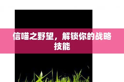 信喵之野望，解锁你的战略技能