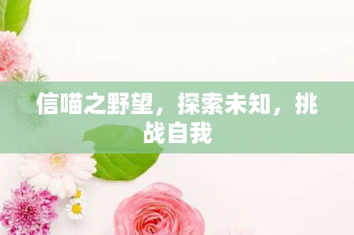 信喵之野望，探索未知，挑战自我