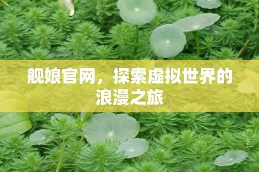 舰娘官网，探索虚拟世界的浪漫之旅