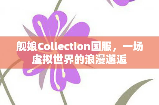 舰娘Collection国服，一场虚拟世界的浪漫邂逅