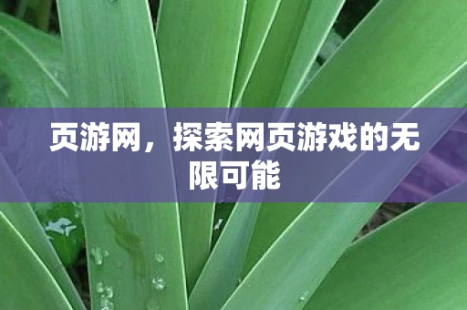 页游网，探索网页游戏的无限可能