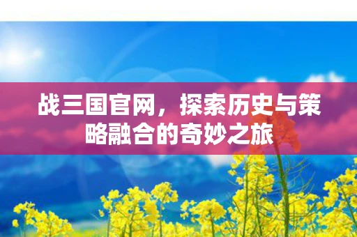 战三国官网，探索历史与策略融合的奇妙之旅