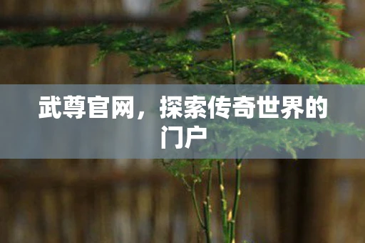 武尊官网，探索传奇世界的门户