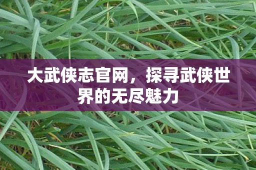 大武侠志官网，探寻武侠世界的无尽魅力