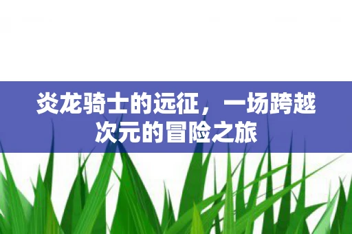 炎龙骑士的远征，一场跨越次元的冒险之旅