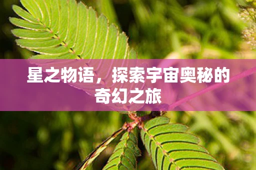星之物语，探索宇宙奥秘的奇幻之旅