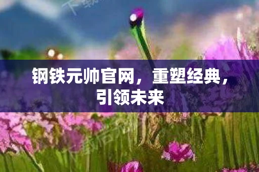 钢铁元帅官网，重塑经典，引领未来