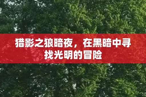 猎影之狼暗夜，在黑暗中寻找光明的冒险