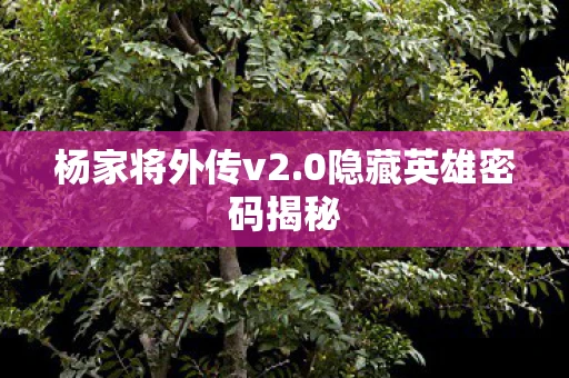 杨家将外传v2.0隐藏英雄密码揭秘