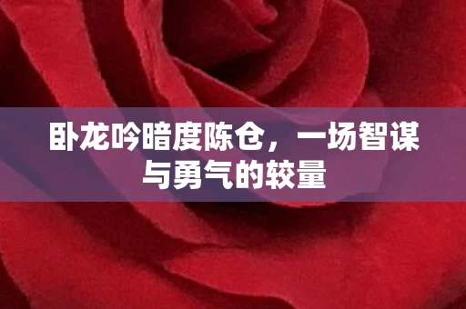 卧龙吟暗度陈仓，一场智谋与勇气的较量