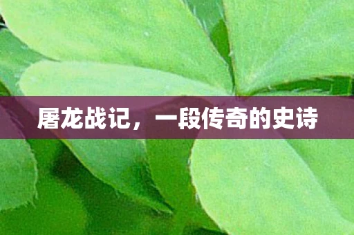 屠龙战记，一段传奇的史诗
