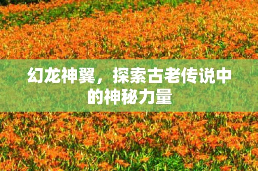 幻龙神翼，探索古老传说中的神秘力量