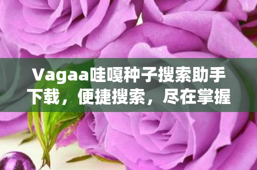 Vagaa哇嘎种子搜索助手下载图片