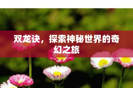 双龙诀，探索神秘世界的奇幻之旅