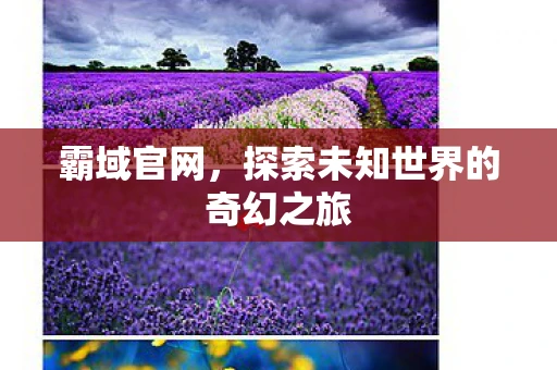 霸域官网，探索未知世界的奇幻之旅