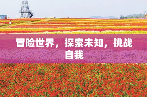 冒险世界，探索未知，挑战自我