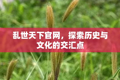 乱世天下官网，探索历史与文化的交汇点