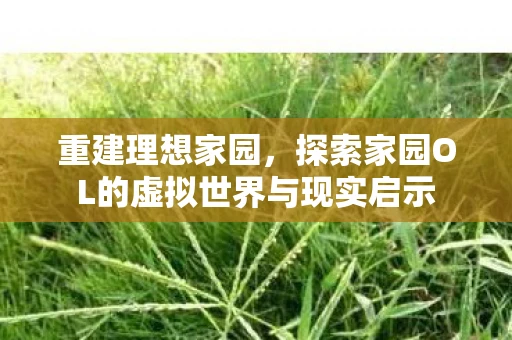 重建理想家园，探索家园OL的虚拟世界与现实启示