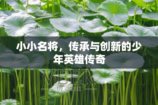小小名将，传承与创新的少年英雄传奇