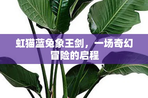 虹猫蓝兔象王剑，一场奇幻冒险的启程