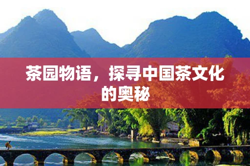 茶园物语，探寻中国茶文化的奥秘