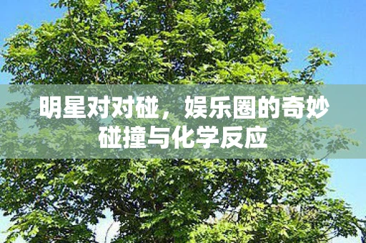 明星对对碰，娱乐圈的奇妙碰撞与化学反应