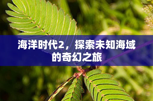 海洋时代2，探索未知海域的奇幻之旅