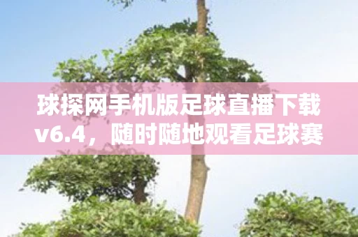 球探网手机版足球直播下载v6图片
