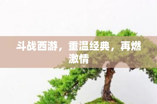 斗战西游，重温经典，再燃激情