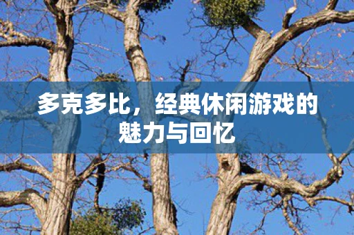 多克多比，经典休闲游戏的魅力与回忆