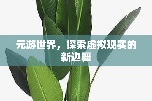 元游世界，探索虚拟现实的新边疆