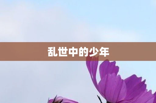乱世中的少年