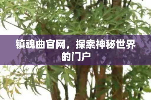 镇魂曲官网，探索神秘世界的门户