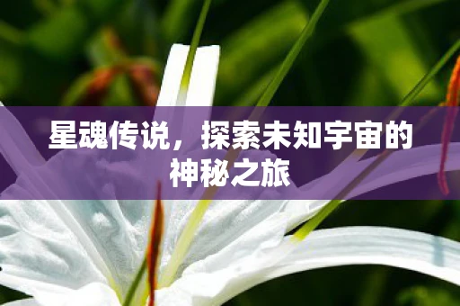 星魂传说，探索未知宇宙的神秘之旅