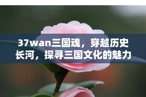 37wan三国魂，穿越历史长河，探寻三国文化的魅力