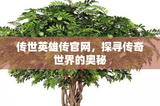 传世英雄传官网，探寻传奇世界的奥秘
