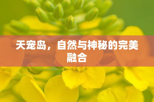 天宠岛，自然与神秘的完美融合