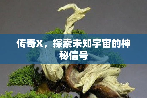 传奇X，探索未知宇宙的神秘信号