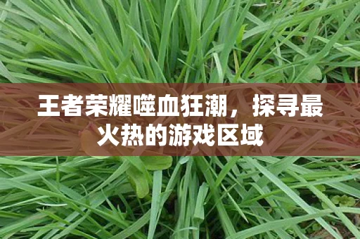 探寻最火热的游戏区域图片