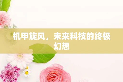 机甲旋风，未来科技的终极幻想