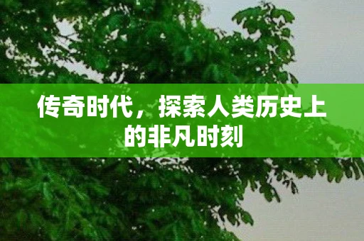 传奇时代，探索人类历史上的非凡时刻