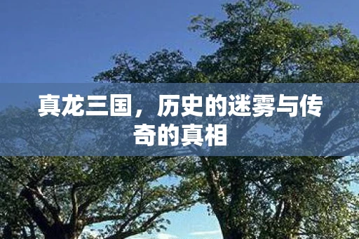 真龙三国，历史的迷雾与传奇的真相