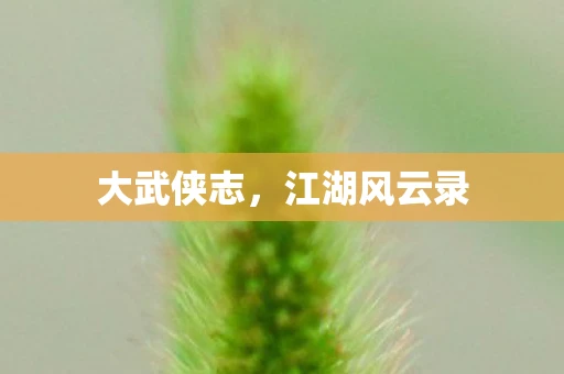 大武侠志，江湖风云录