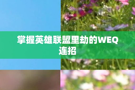 掌握英雄联盟里劫的WEQ连招图片