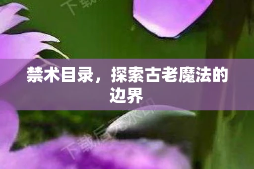 禁术目录，探索古老魔法的边界