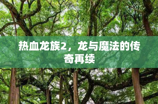 热血龙族2，龙与魔法的传奇再续