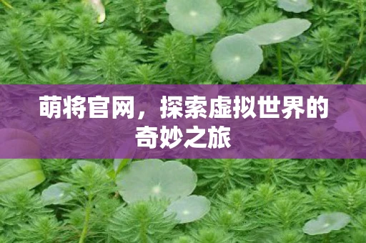 萌将官网，探索虚拟世界的奇妙之旅