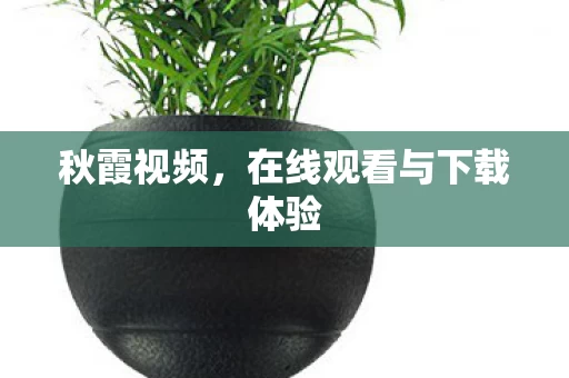 在线观看与下载体验图片