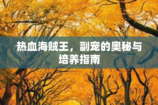 热血海贼王，副宠的奥秘与培养指南