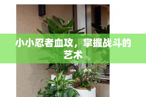 小小忍者血攻，掌握战斗的艺术